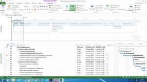 MS Project