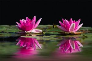 Mindfulness - tudatos jelenlét